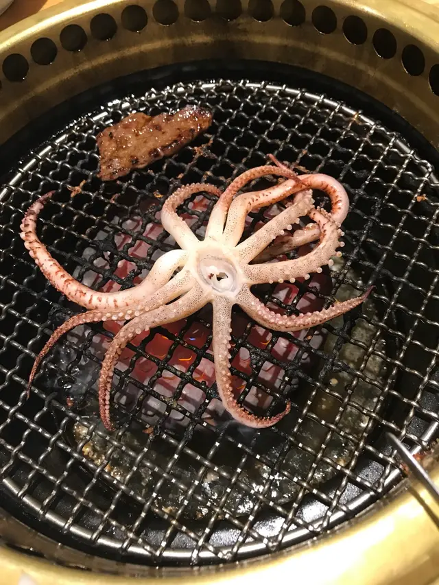 王樣魷魚