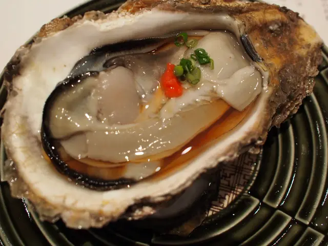 天嶺岩蠔(春季限定)