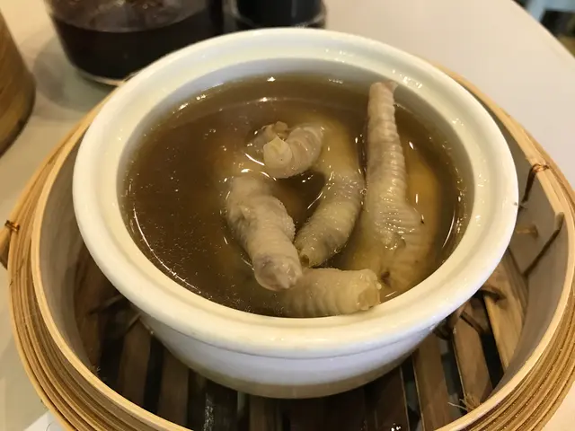 藥膳雞腳