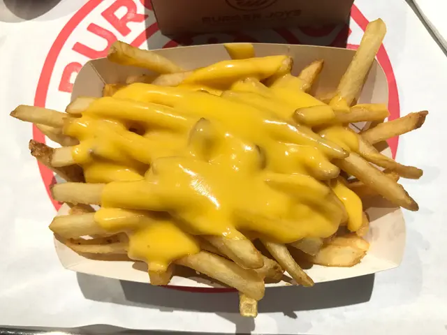 Melted Cheese Fries