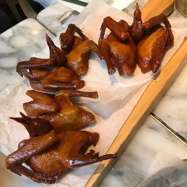 白玉王鴿（1隻）