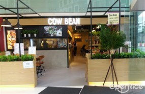 Cow Bean