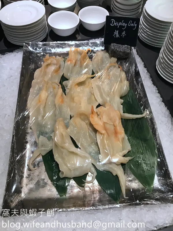 花膠樣本