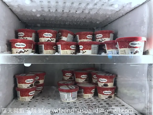 Haagen Dazs雪糕