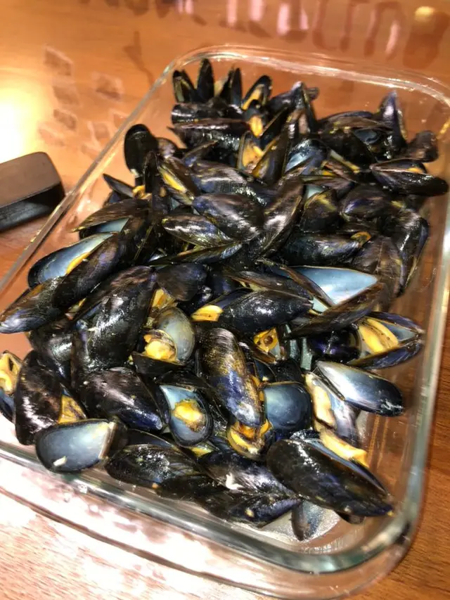 法國藍青口ＢＢ