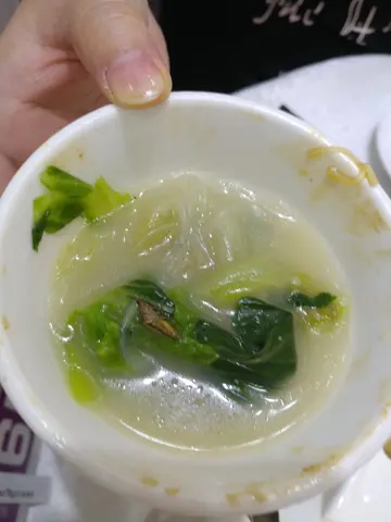 曱甴杂菜煲