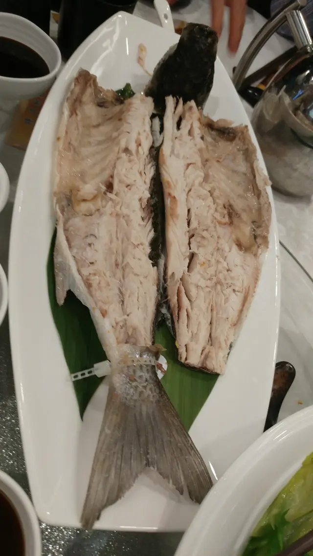 凍烏頭