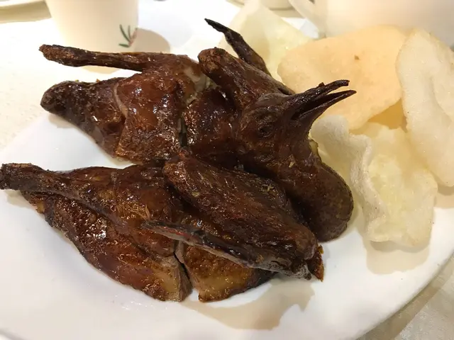 紅燒乳鴿