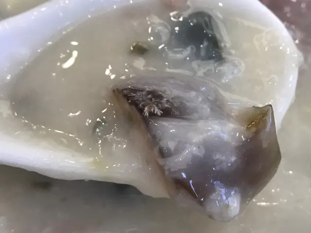 皮蛋牛肉粥