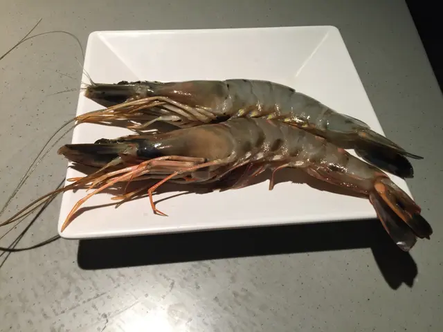 冰鎮大頭蝦