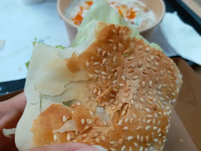 功夫辣雞腿燒餅