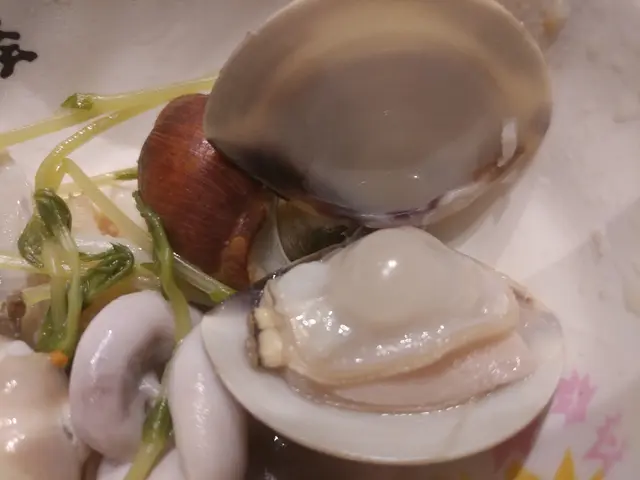 漲扑扑蜆肉