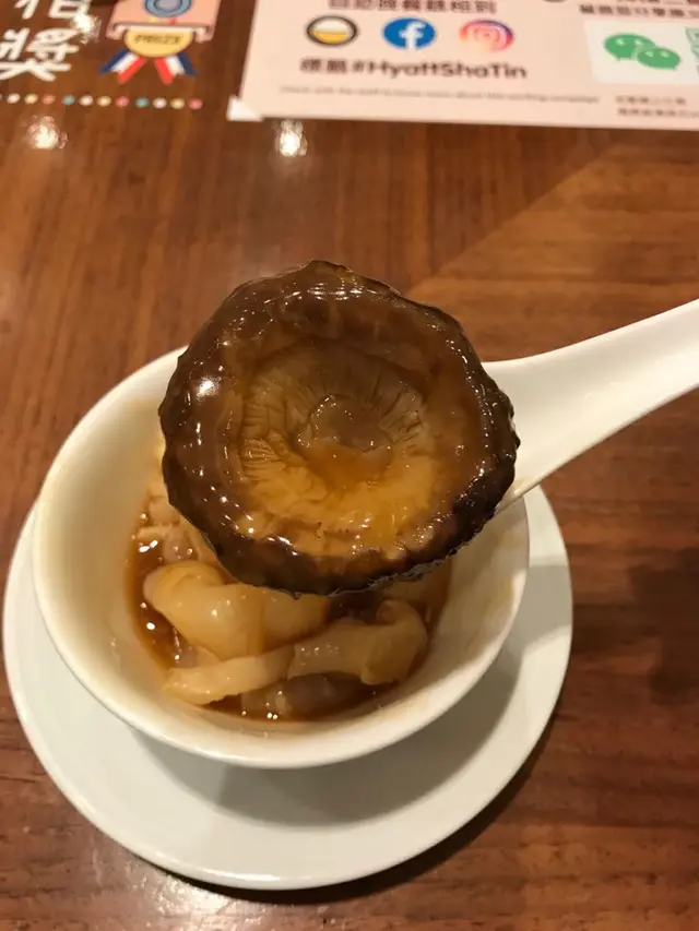 大冬菇