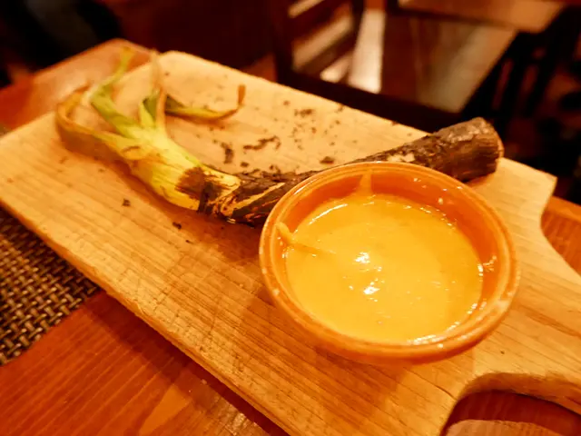 香烤西班牙冬日韭蔥配甜椒汁