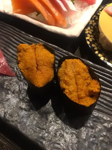 海胆军舰