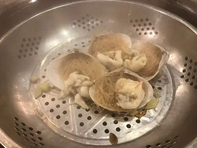貴妃蚌