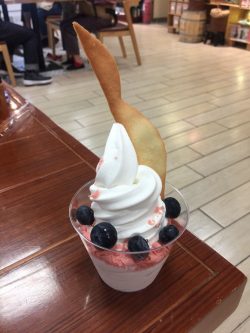 Yoble s Photo Western Ice Cream yogurt in Kwun Tong apm