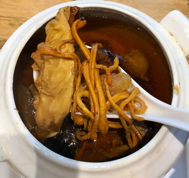 栗子蟲草花花膠燉雞湯