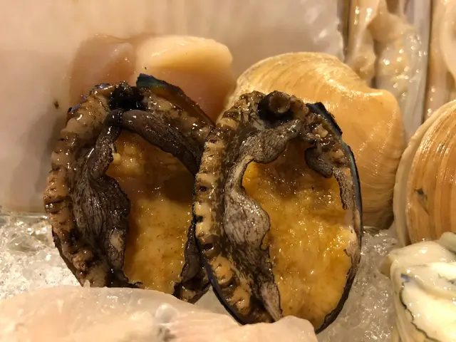 鮑魚肉質軟腍又不失口感。