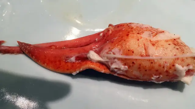 龍蝦