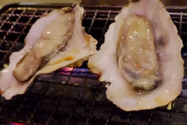 焱丸活貝大盛
