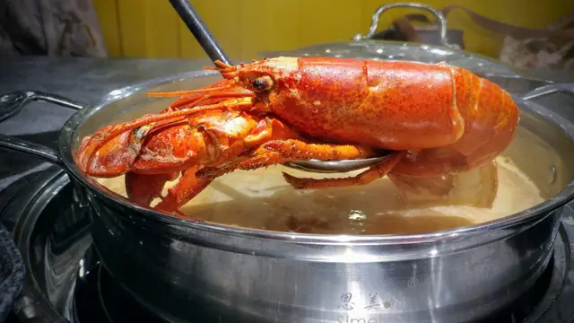 波士頓龍蝦鍋