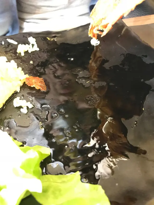 讓大家看一下這料理有多油...