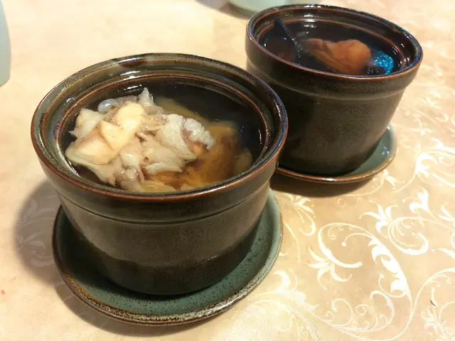 原盅燉川貝陳皮海底椰鱷魚肉湯