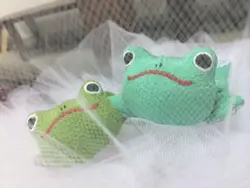 女皇大人