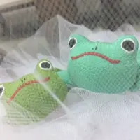 女皇大人