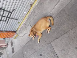 食左至算