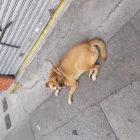 食左至算