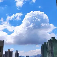 小兔貓