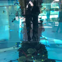 凱思琳