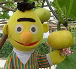 但丁丁仔仔