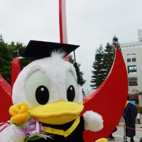 曦_翹