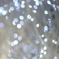 食神10號