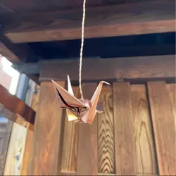S Y C