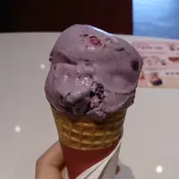 bloodyfool