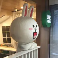 JuDy朱地