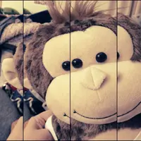 Mickey1234