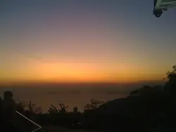 梅子棉花糖