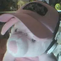 白鹿王