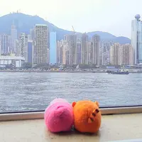 kitty121