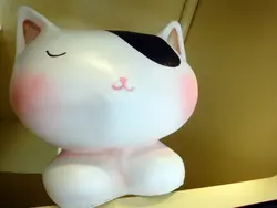 一枝芝芝