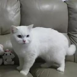 carollamyf