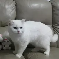 carollamyf