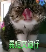 mwwong0113