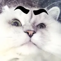 kaekaee