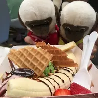 monkeyboyboy
